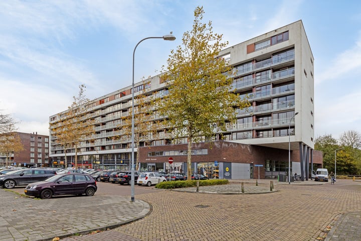 Johan van Reigersbergstraat 53