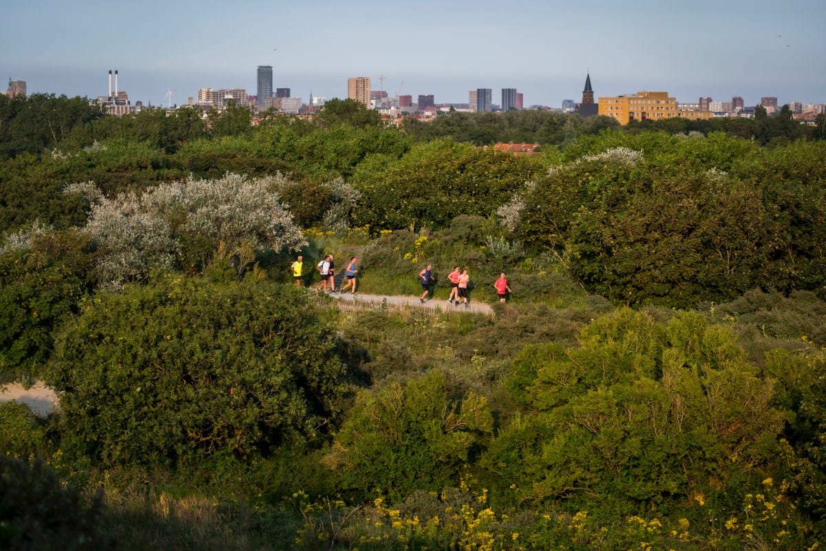 Foto 70 van Van Boetzelaerlaan 10