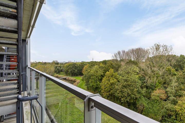 Foto 6 van Johan van Reigersbergstraat 167