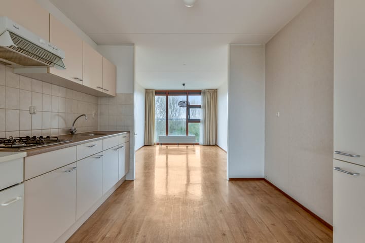 Foto 12 van Johan van Reigersbergstraat 167