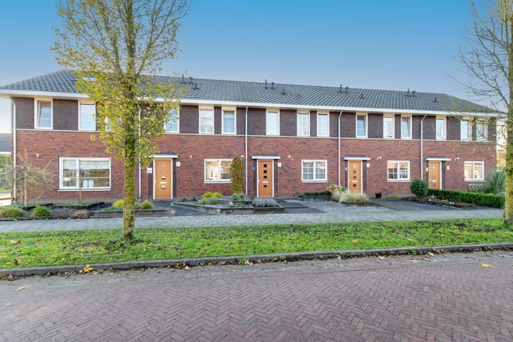 Foto 2 van Teunisbloem 5