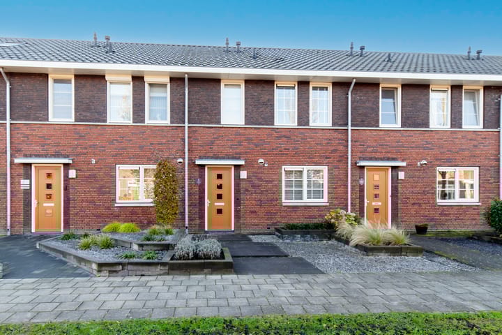 Foto 3 van Teunisbloem 5