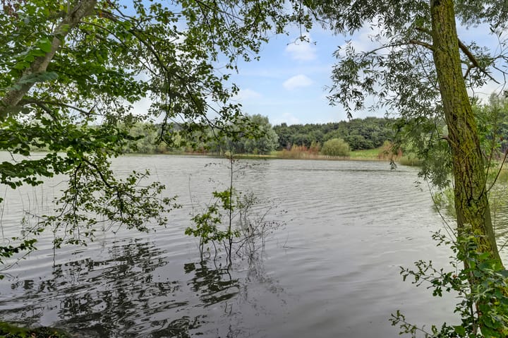 Foto 6 van Warande 6