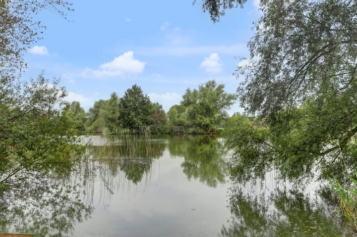 Photo 59 of Warande 6