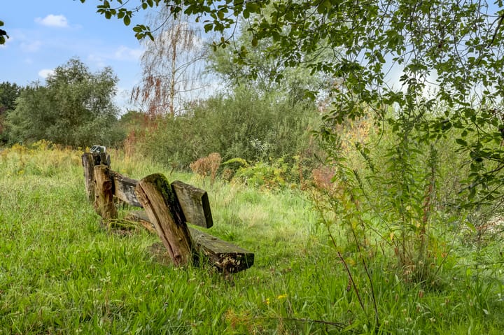 Photo 61 of Warande 6