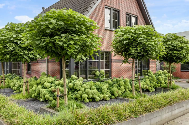 Foto 65 van Warande 6