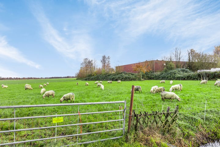 Bekijk foto 6 van Grote Melmweg 13