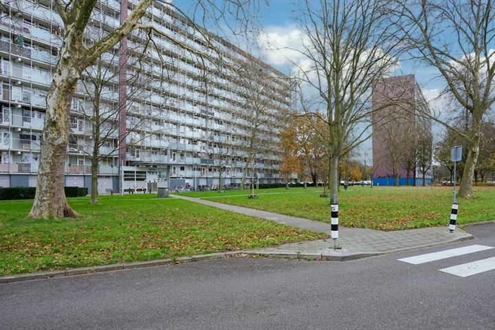 Bekijk foto 1 van Eisenhowerstraat 656