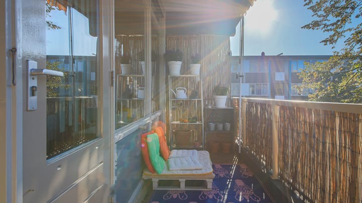 Foto 5 van Spinaker 31