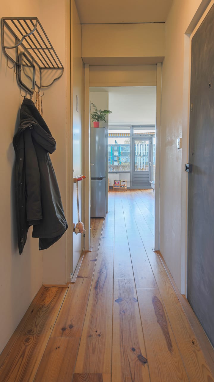 Foto 12 van Spinaker 31