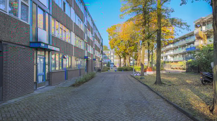 Foto 21 van Spinaker 31