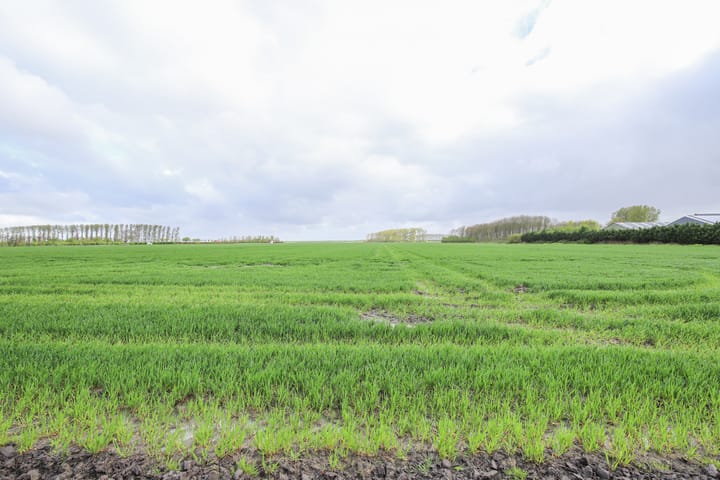 Foto 35 van Brugstraat 40