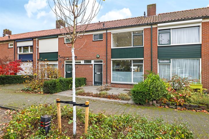 Bekijk foto 46 van Vondelstraat 238