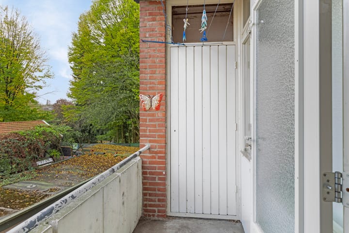 Foto 4 van Castorweg 250