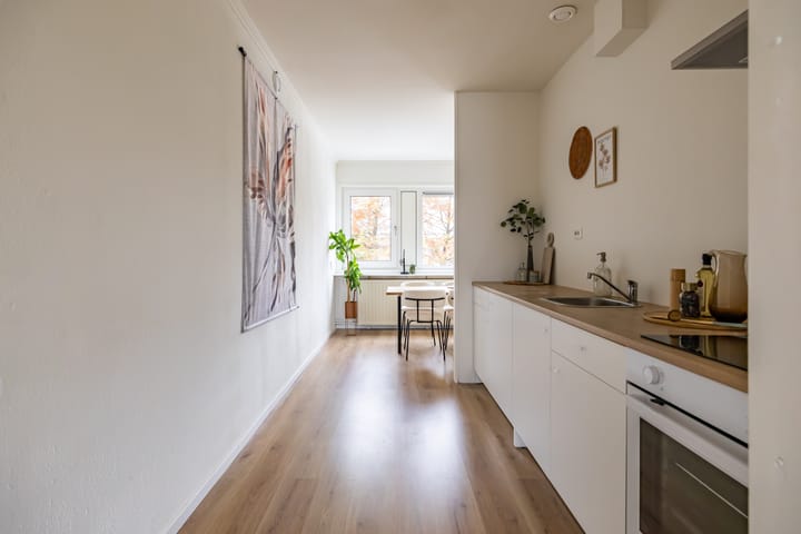 Foto 14 van Sloep 141