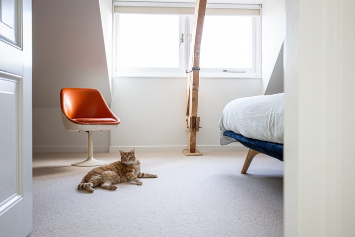 Foto 41 van Noorderstraat 64