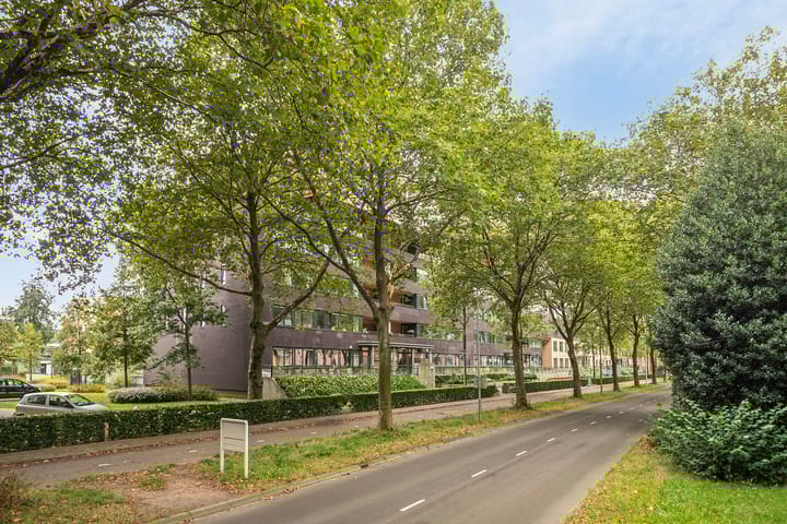 Foto 26 van Wadestein 106