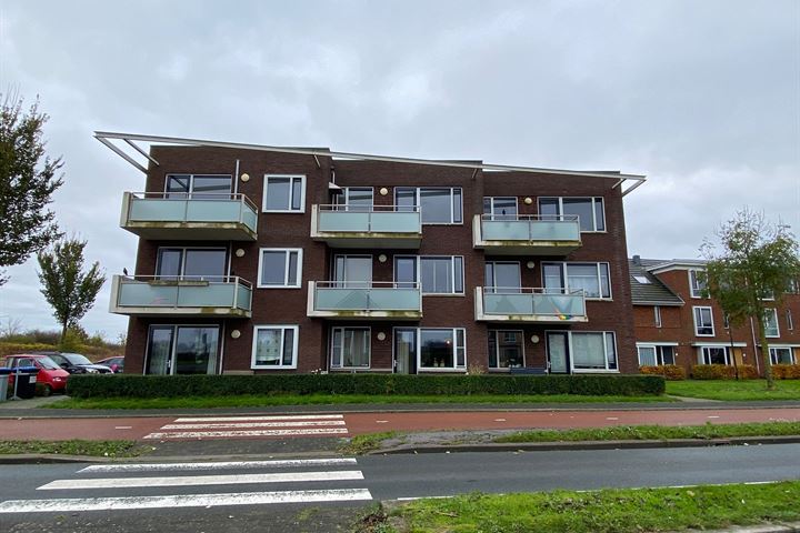 View photo 1 of Meerval 137