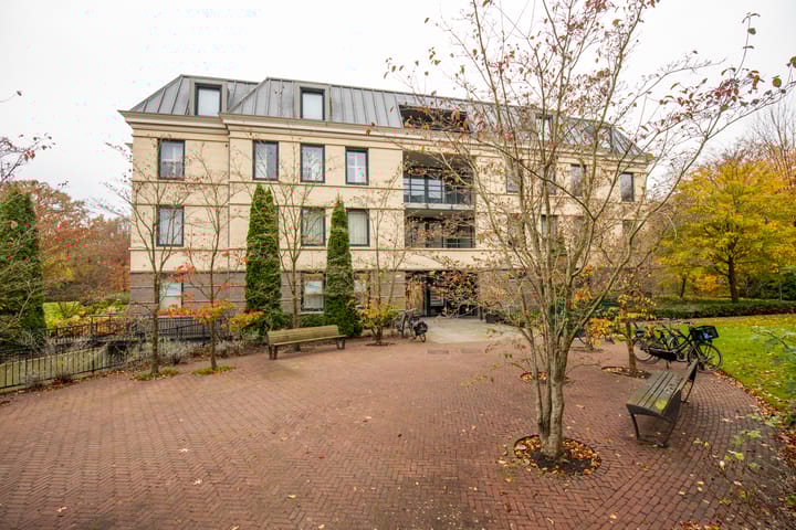 Photo 37 of Brinkhove 33