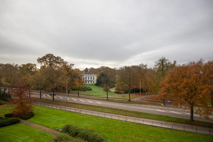 Photo 45 of Brinkhove 33