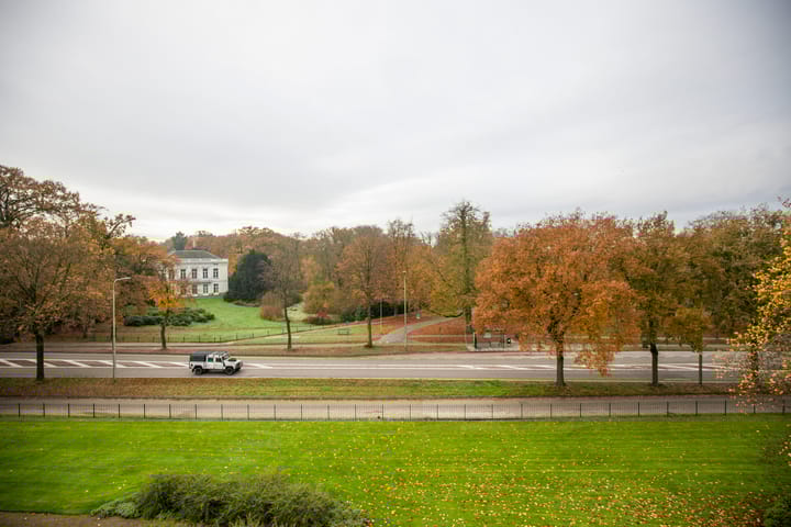 Photo 46 of Brinkhove 33