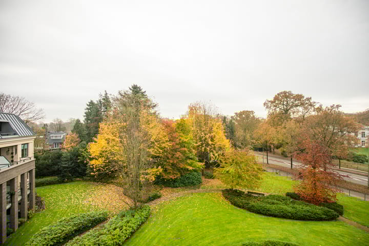 Photo 43 of Brinkhove 33