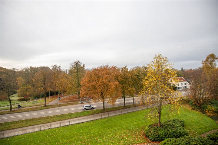 View photo 47 of Brinkhove 33