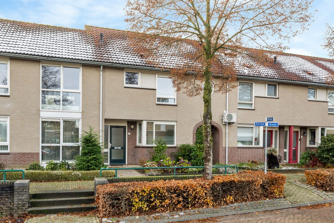 Photo 26 of Donge 33