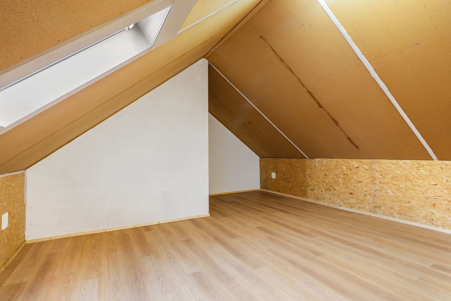 Photo 20 of Donge 33