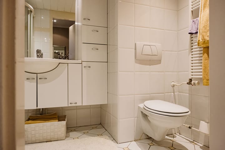 Foto 19 van Duindistel 51