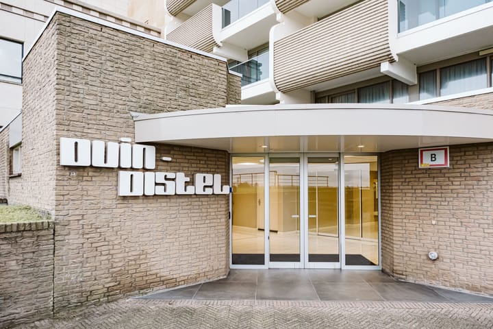 Foto 20 van Duindistel 51