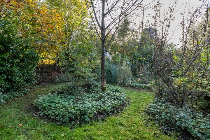 Foto 60 van Noorderweg 8