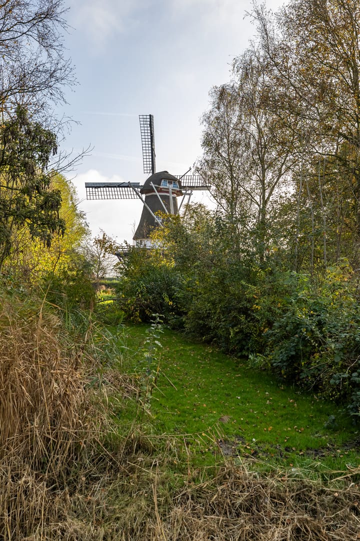 Foto 62 van Noorderweg 8