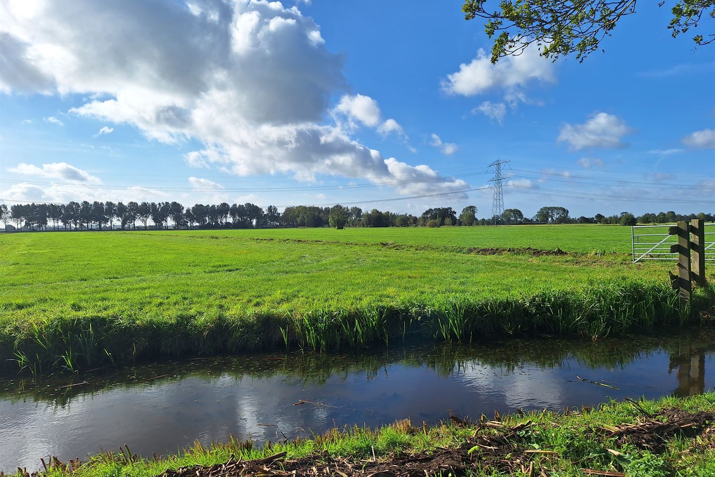 Bekijk foto 1 van Kweldamweg