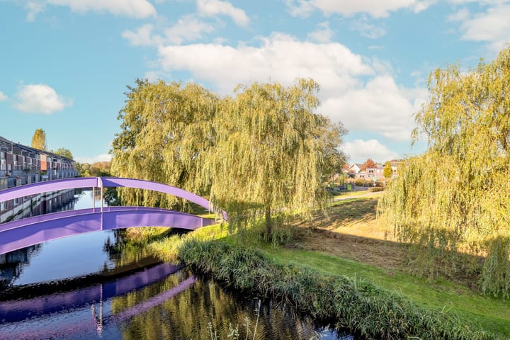 Foto 23 van Morgen 23