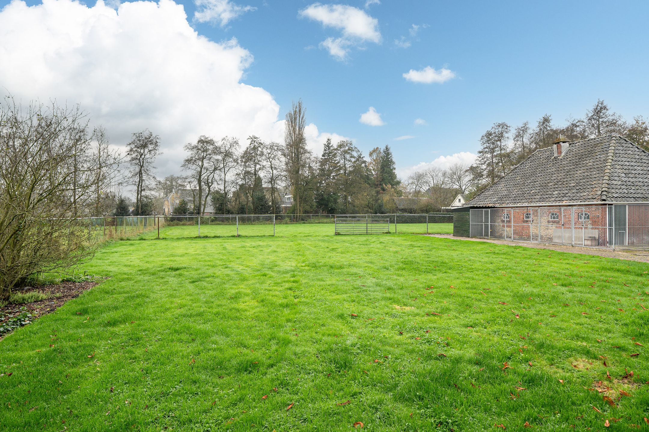 Foto 39 van Westerein 19