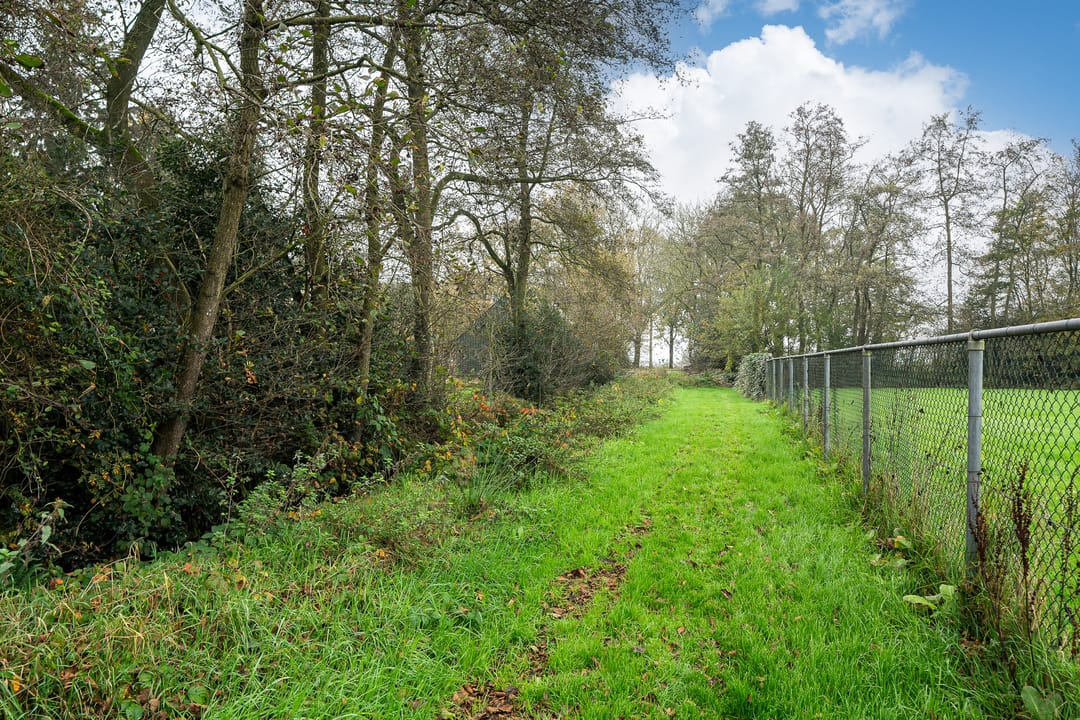 Foto 43 van Westerein 19