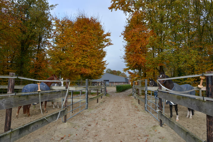 Bekijk foto 45 van Eerste Kruishaarseweg 13