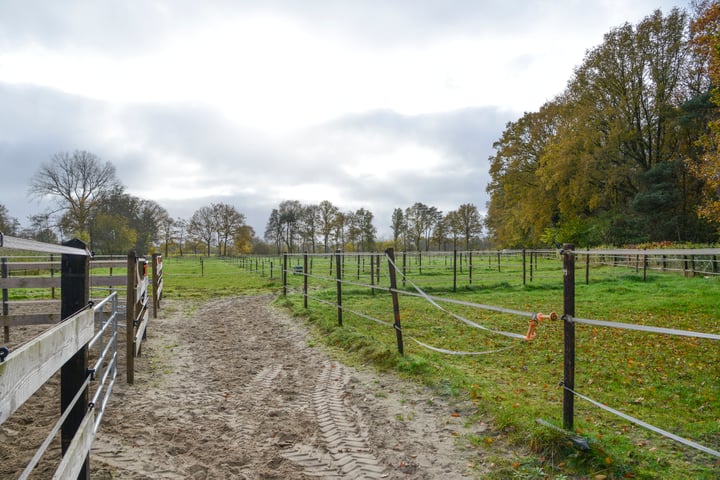 Bekijk foto 46 van Eerste Kruishaarseweg 13