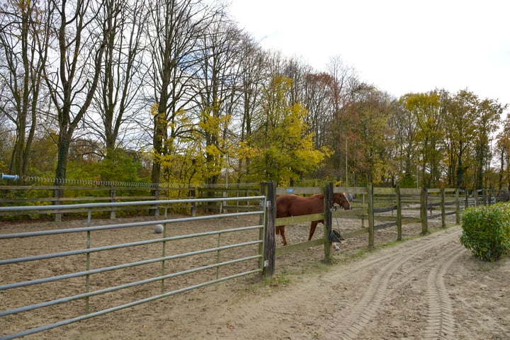 Bekijk foto 48 van Eerste Kruishaarseweg 13