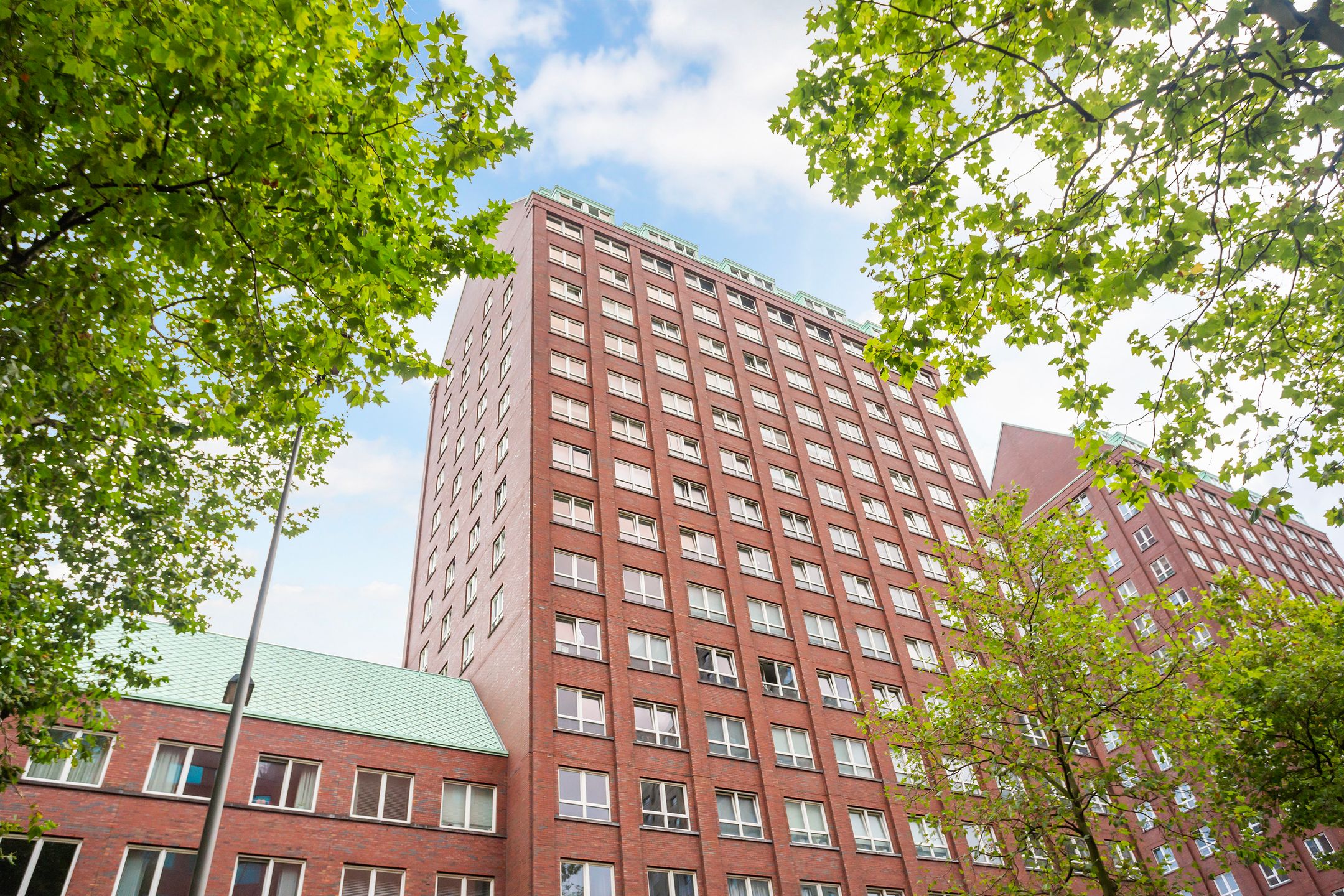 Foto 3 van Laan op Zuid 116