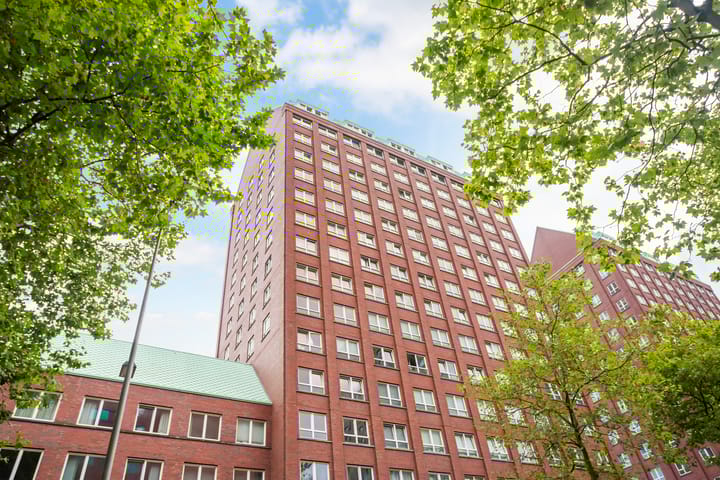 Foto 3 van Laan op Zuid 116