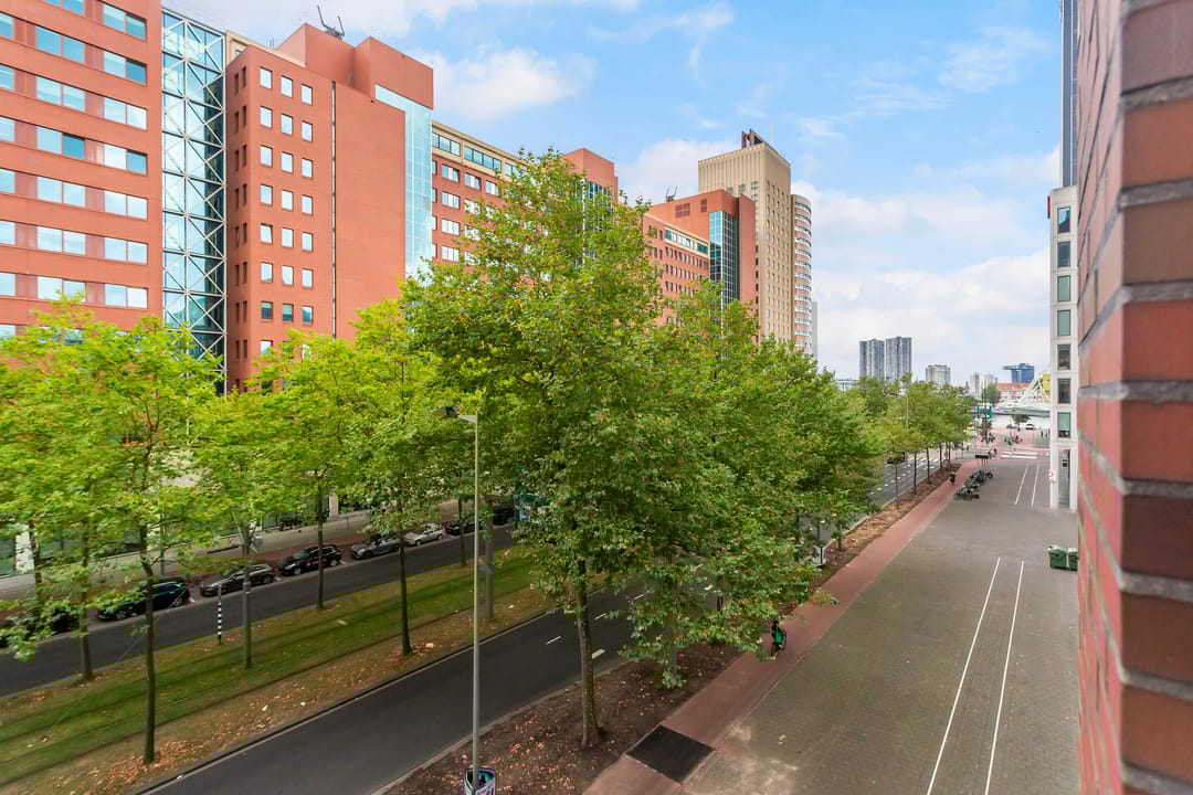 Foto 8 van Laan op Zuid 116