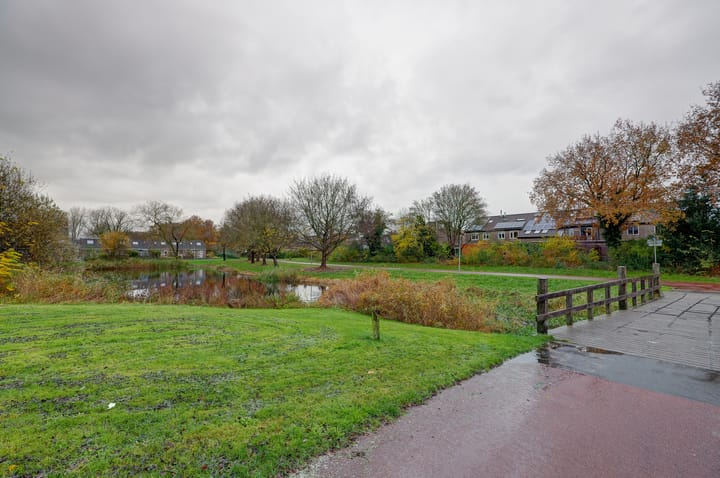 Foto 42 van Hofstukken 150