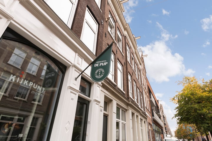 Bekijk foto 3 van Govert Flinckstraat 231-2A