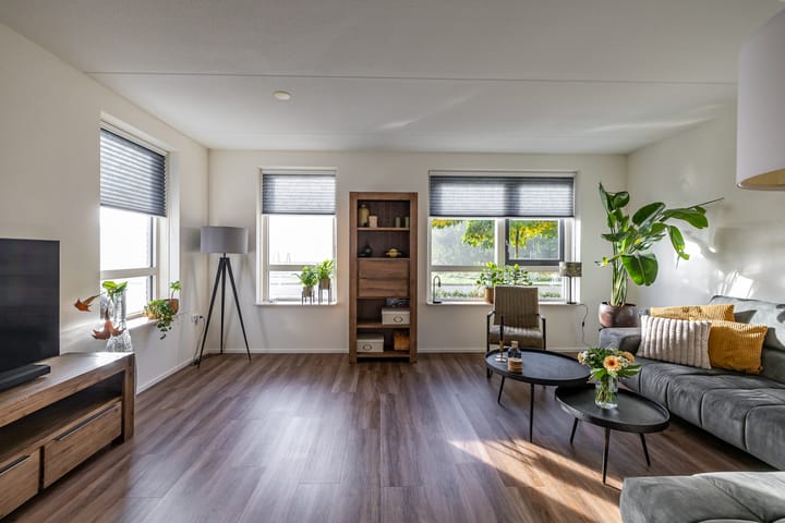 Foto 5 van Aalscholver 16