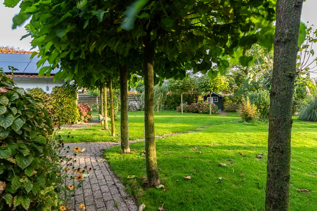 Photo 33 of Campensedijk 66