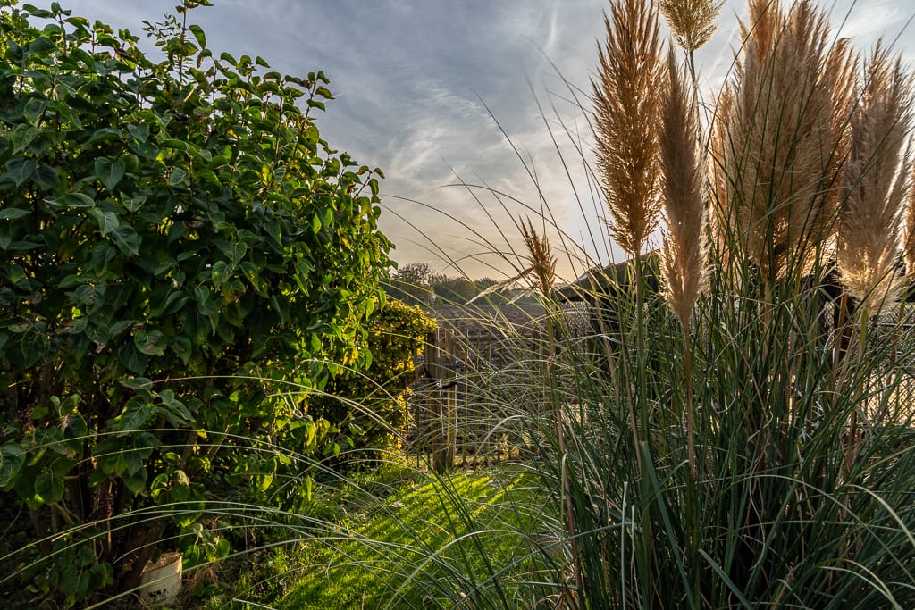 Photo 34 of Campensedijk 66