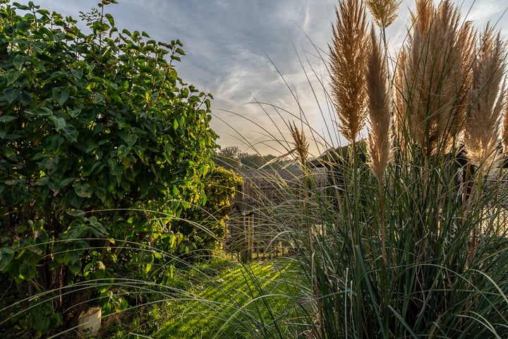 Bekijk foto 34 van Campensedijk 66