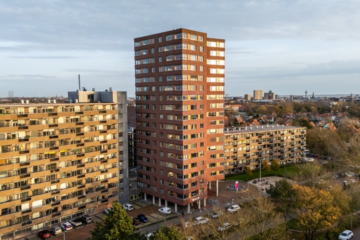 Bekijk foto 2 van Vredehoflaan 252